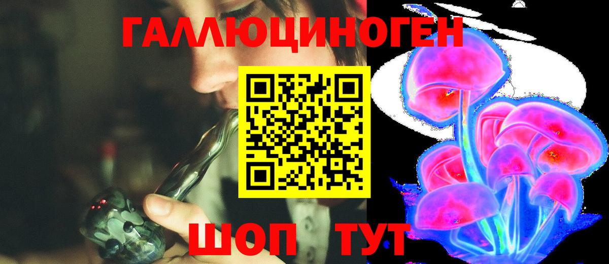 Псилоцибиновые грибы Cubensis Уссурийск